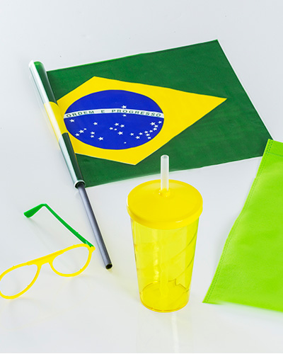 copa-do-mundo torcedor 9